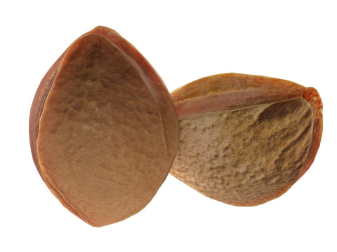 Apricot Kernels Modelo 3D