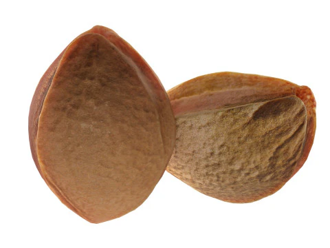 Apricot Kernels 3D Model