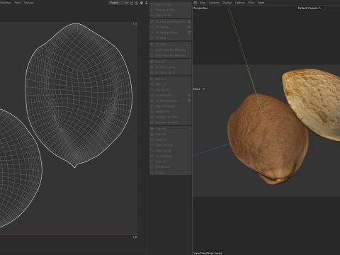 Apricot Kernels 3D Model