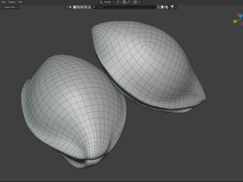 Apricot Kernels Modelo 3D