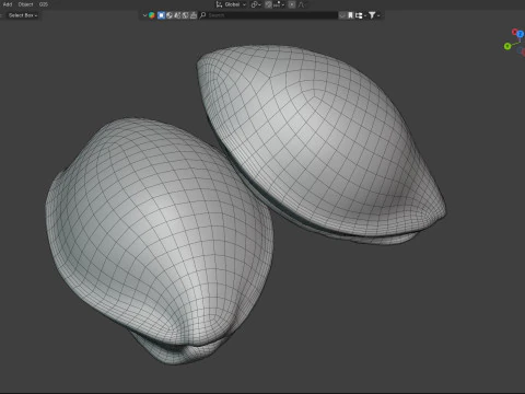 Apricot Kernels 3D Model