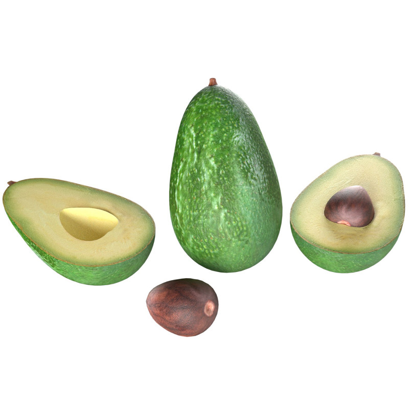 Avocado fruit seed Modèle 3D .c4d .max .obj .3ds .fbx .stl .blend