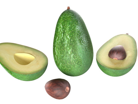 Avocado fruit seed Modèle 3D