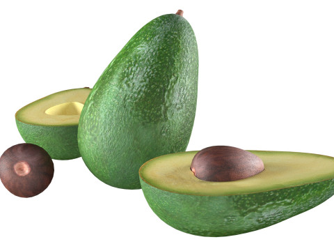 Avocado fruit seed Modèle 3D