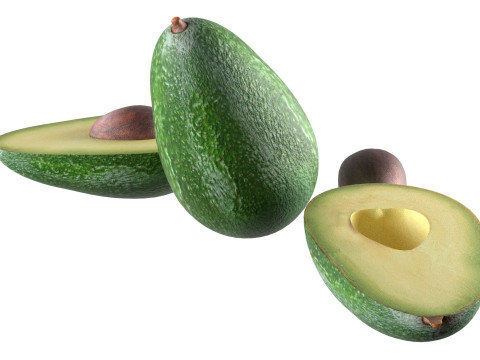 Avocado fruit seed Modèle 3D