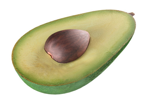 Avocado fruit seed Modèle 3D