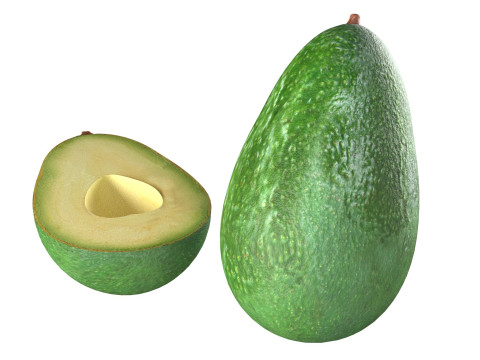 Avocado fruit seed Modèle 3D