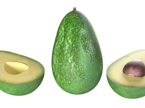 Avocado fruit seed Modèle 3D
