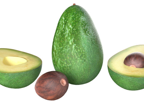 Avocado fruit seed Modèle 3D