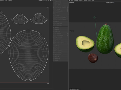 Avocado fruit seed Modèle 3D