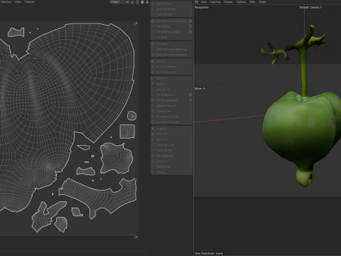 Barringtonia asiatica fruit 3D Model