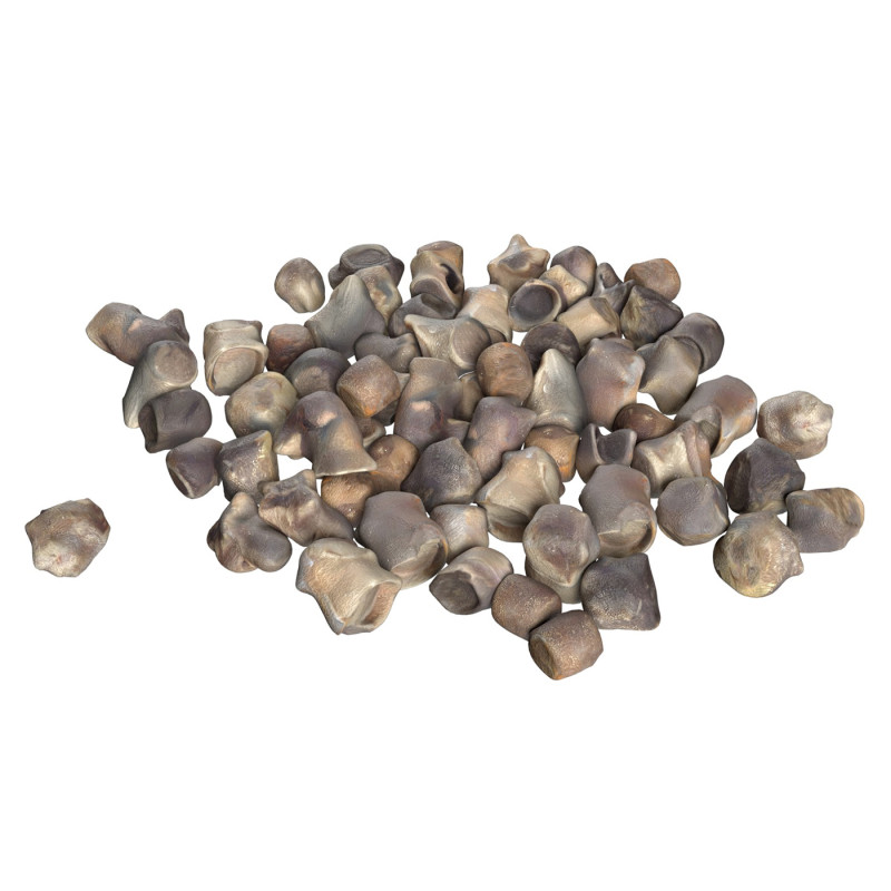 Beet Seed Modelo 3D .c4d .max .obj .3ds .fbx .stl .blend