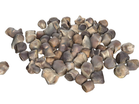 Beet Seed Modelo 3D