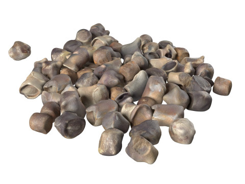 Beet Seed Modelo 3D