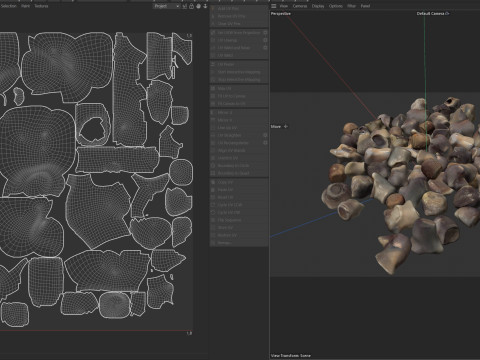 Beet Seed Modelo 3D