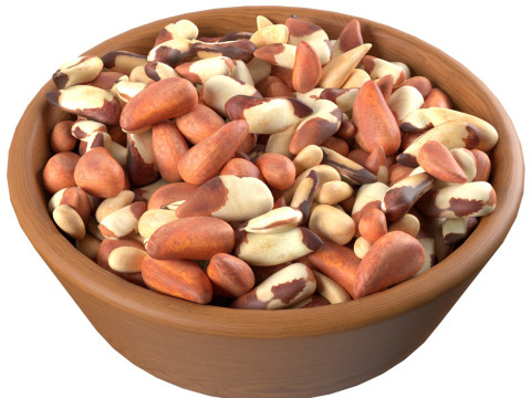 Brazilian nut bowl Modèle 3D