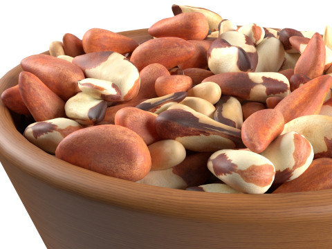 Brazilian nut bowl Modelo 3D