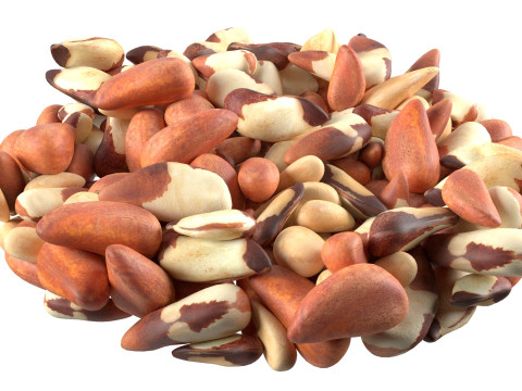 Brazilian nut bowl Modelo 3D