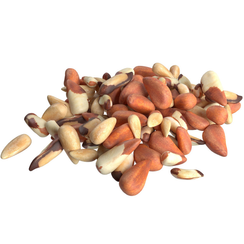 Brazilian nut pile 3D-Modell .c4d .max .obj .3ds .fbx .stl .blend