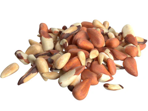 ブラジリアンナッツの山 3Dモデル