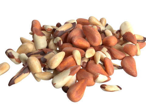 Brazilian nut pile Modello 3D