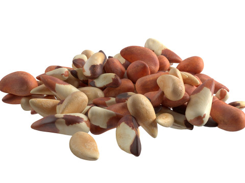 Brazilian nut pile Modello 3D