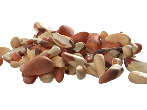 Brazilian nut pile 3D Model