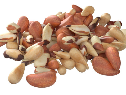 Brazilian nut pile Modello 3D