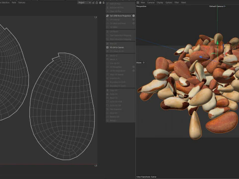 Brazilian nut pile 3D Model