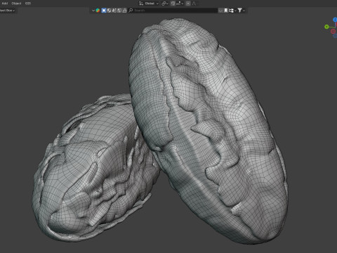 Brazilian nut shell Modelo 3D