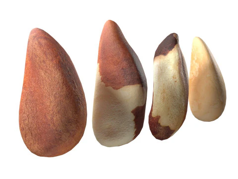 Brazilian nuts 3D Model