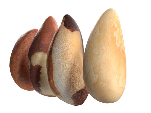 Brazilian nuts Modèle 3D