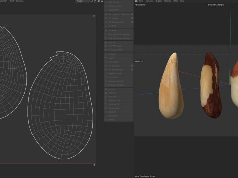 Brazilian nuts Modèle 3D