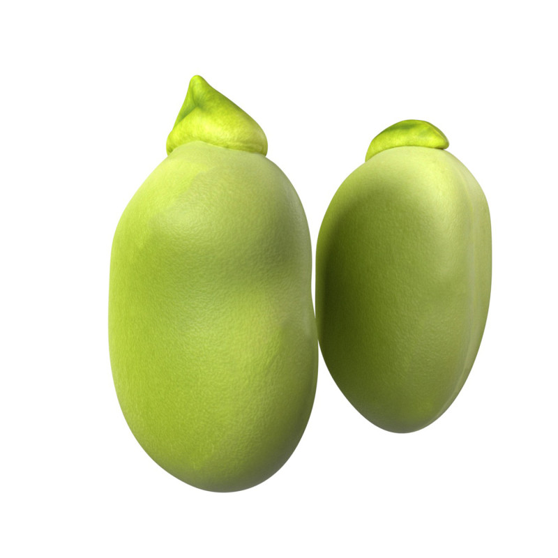 Broad bean Modelo 3D .c4d .max .obj .3ds .fbx .stl .blend