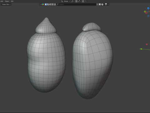 Broad bean Modelo 3D