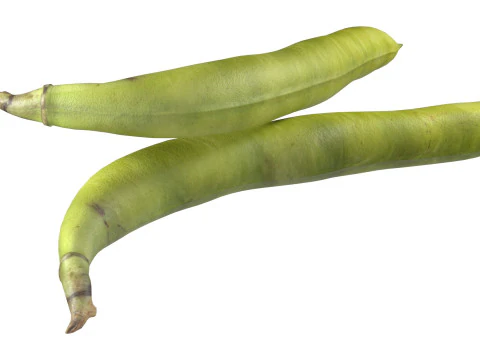 Broad bean pod 3D Model