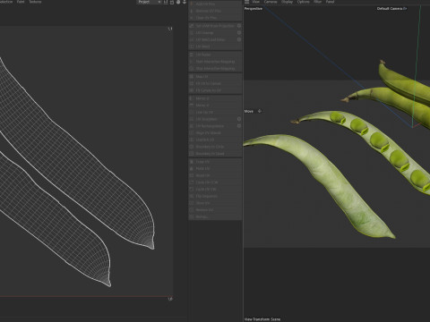 Broad bean pod 3Dモデル
