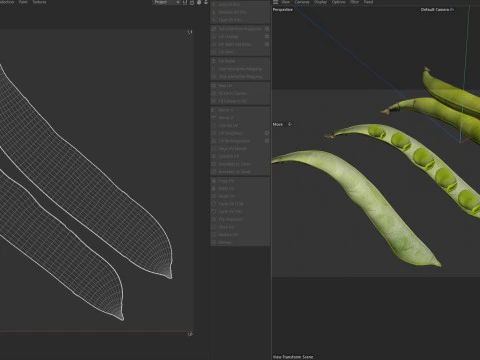 Broad bean pod 3D Model