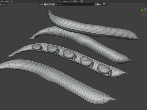 Broad bean pod 3Dモデル