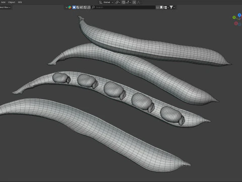 Broad bean pod 3D Model