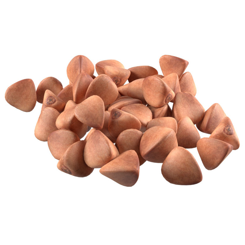 Buckwheat pile Modèle 3D .c4d .max .obj .3ds .fbx .stl .blend