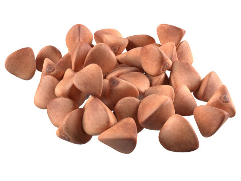 Buckwheat pile Modèle 3D