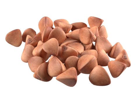 Buckwheat pile Modèle 3D