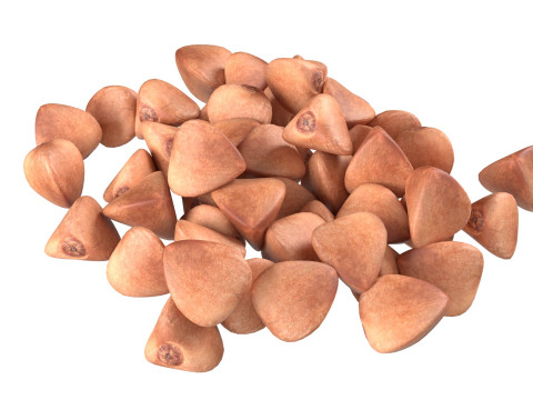 Buckwheat pile Modèle 3D
