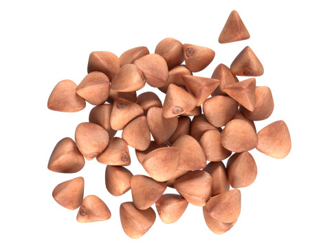 Buckwheat pile Modèle 3D