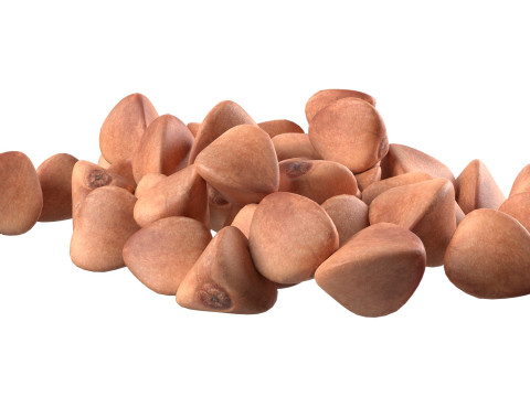 Buckwheat pile Modèle 3D