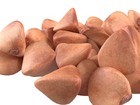 Buckwheat pile 3D Model