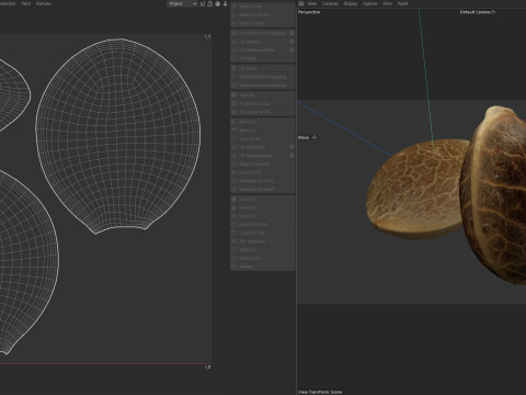 Cannabis seed Modelo 3D