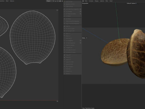 Cannabis seed 3D Model