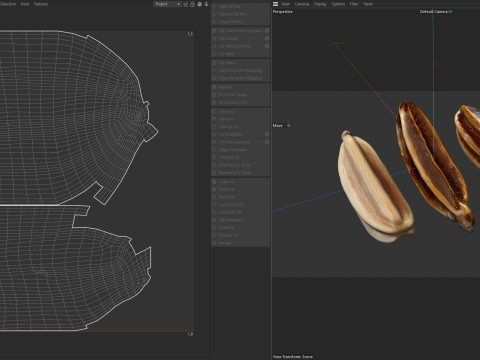 Caraway Pile Modelo 3D